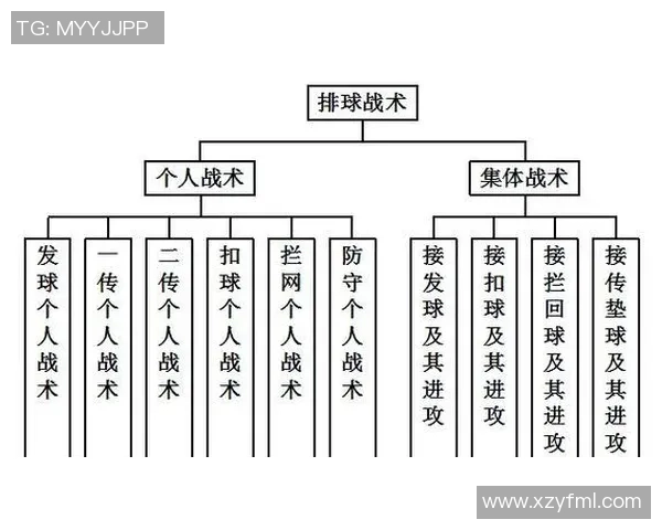 重庆排球队快攻战术解析与深度剖析全方位解读排球魅力与技巧